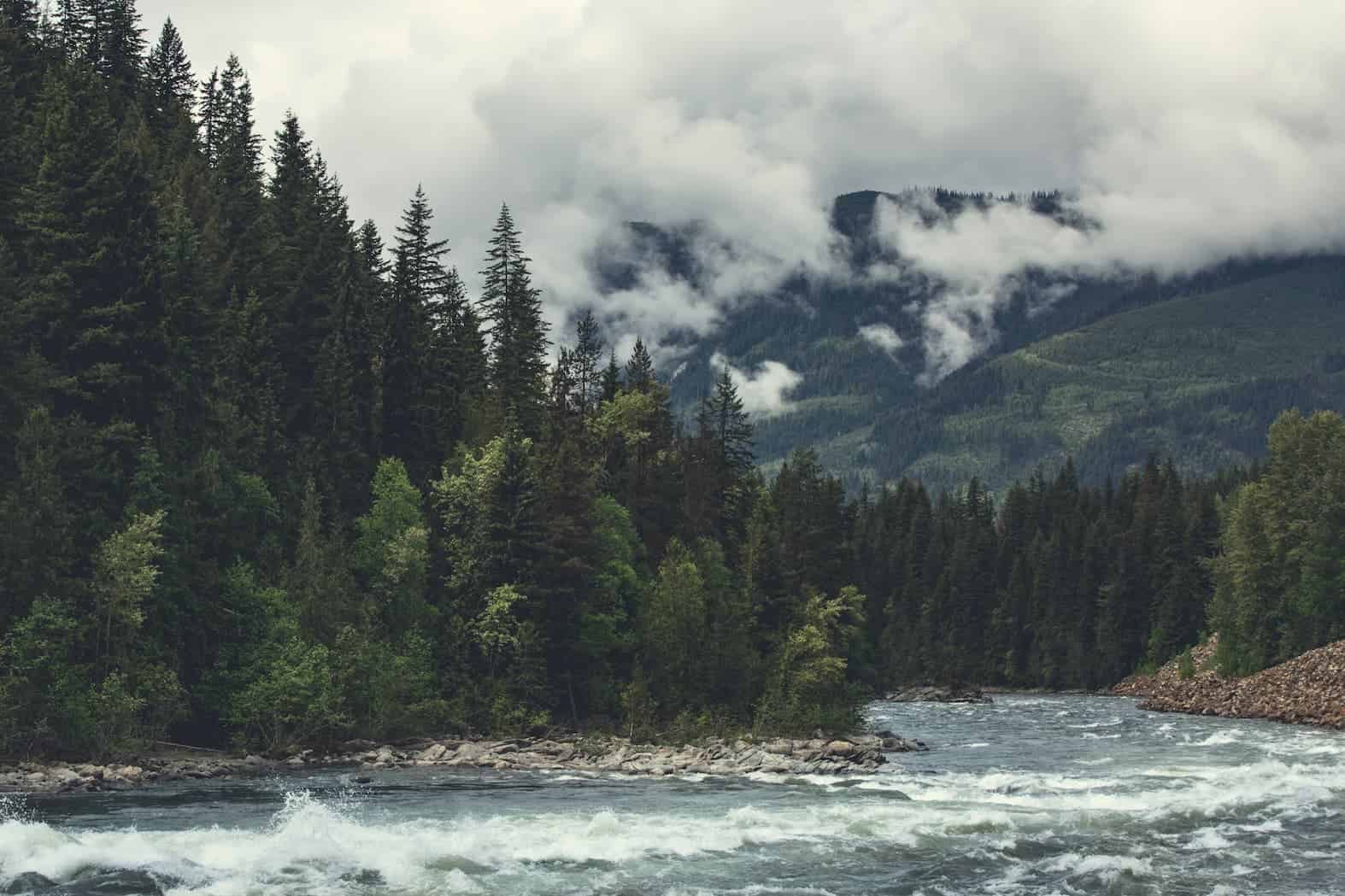 From the Chilliwack River to Climate Change: The Pristine Coast Story