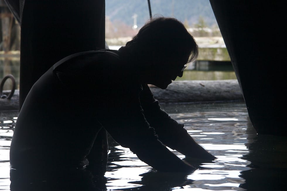 From Revelstoke to The Green Channel: How a Scientist Became the Voice of Living Things