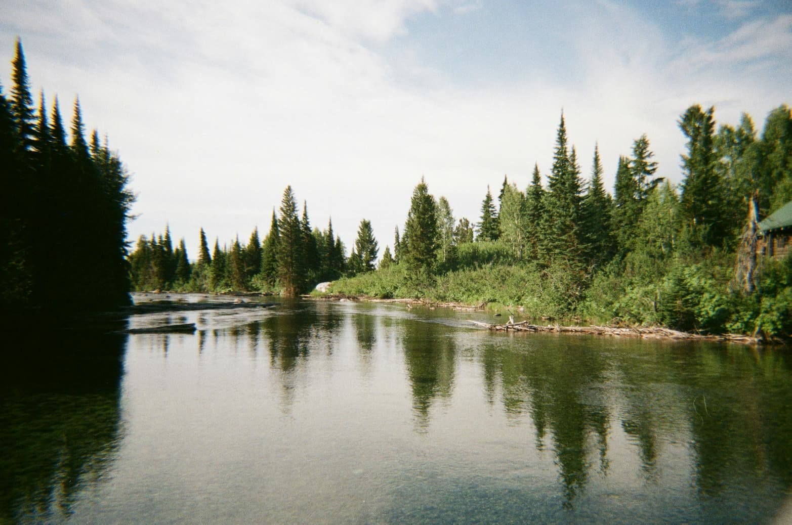 119 Days in the Courtroom: Inside the Cohen Commission on Fraser River Sockeye