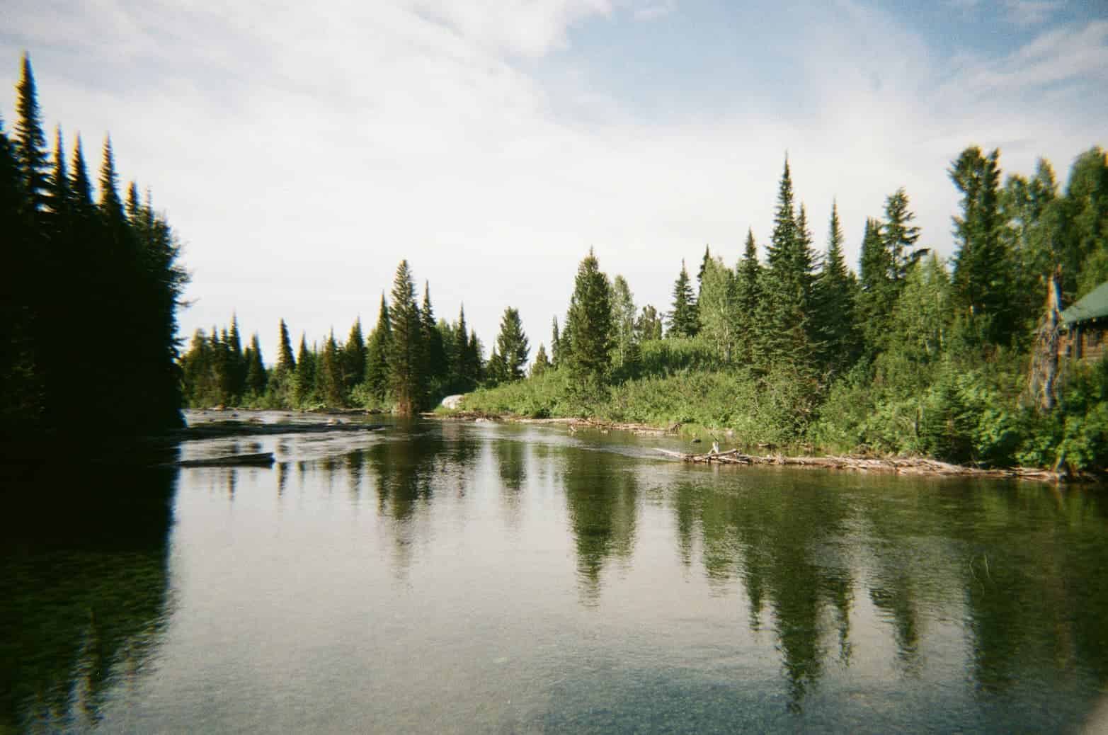 119 Days in the Courtroom: Inside the Cohen Commission on Fraser River Sockeye